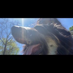 Meet your Posher, Abby